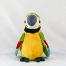 Papagaio Falante